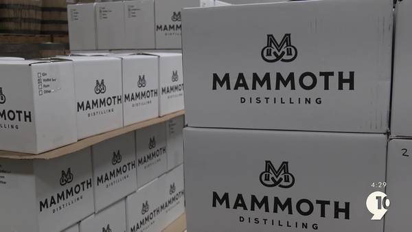 Mammoth Distilling embarks on a new kiwi growing adventure