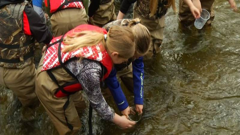 Promo Image: Bellaire Elementary Fourth Graders Release Salmon Into Platte River