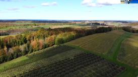 Northern Michigan From Above: Friske Orchards in Charlevoix