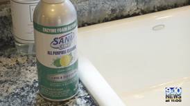 Try Before You Buy: Sani 360 All Purpose Cleaner