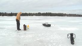 Hook and Hunting: Michigan Cuts Catch Limit to 25 for Yellow Perch