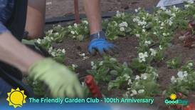 Good Day Checks In With Friendly Garden Club In Traverse City