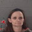 Missaukee County Woman Charged with Possession of Meth and Guns