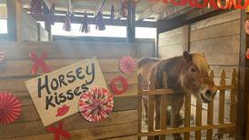 On The Road: Horse kissing booth at the Northern Michigan Equine Therapy