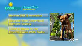 Happy Tails: Maple the Dog