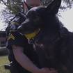 Leelanau County Sheriff’s Office Hosts 2nd Golf Outing Fundraiser for the K9 Program