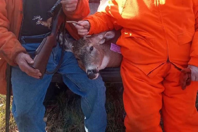 Donald Troyer, 88 (pictured with wife Cleta Troyer, 90) shot his buck 8:30AM opening Day on his property in Fairview, MI 