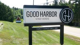 Brewvine: Getting Ready for Fall at Good Harbor Vineyards
