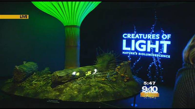 Promo Image: MTM On The Road: Creatures of The Light at Grand Rapids Public Museum
