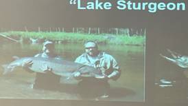 Hook & Hunting: Studying Lake Sturgeon by Video