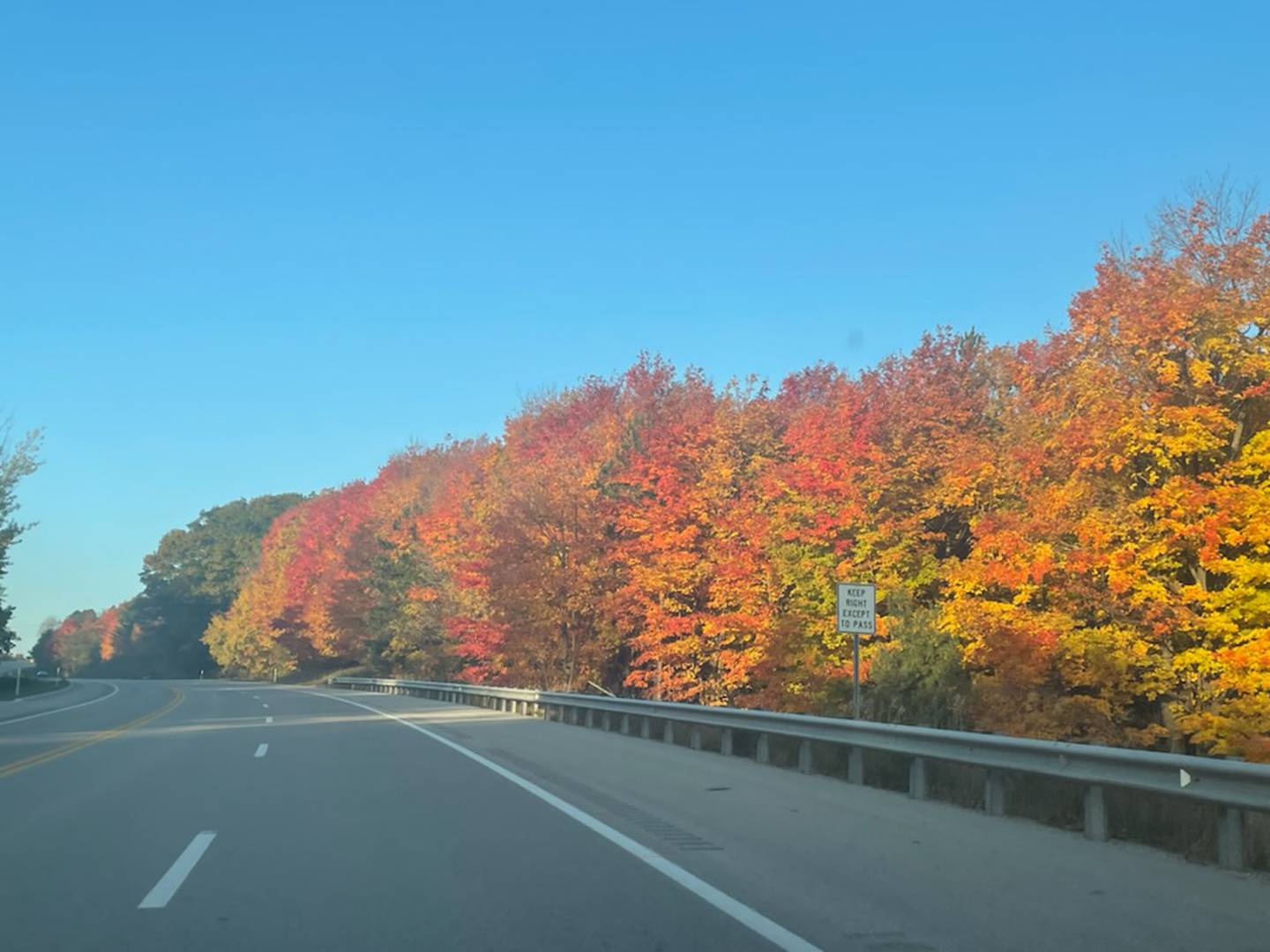 Trees Fall Colors