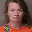 Houghton Lake Woman Arrested for Operating While Under the Influence, Child Endangerment