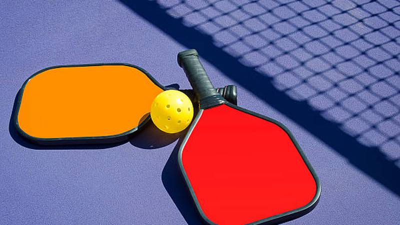 Promo Image: Ferris State &#8216;Learn to Play Charity Pickleball Event