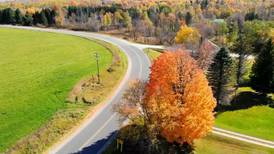 Northern Michigan From Above: Missaukee County Tree Shows Its Beauty