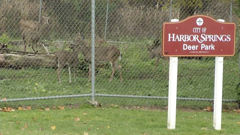 Promo Image: No Harbor Springs Deer Park Recount Because Ballot Containers Don&#8217;t Meet Security Standards
