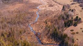 Adventures in Northern Michigan: Watersheds of Acme, Whitewater Twp.
