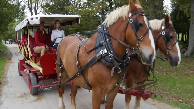 Promo Image: What Does it Take to be a Carriage Driver on Mackinac Island?
