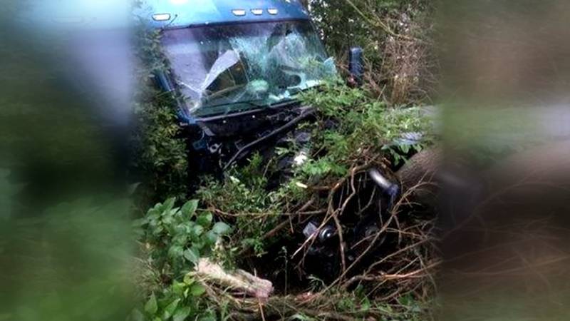 Promo Image: Semi-Truck Driver Crashes into Trees Off US 131 In Osceola County