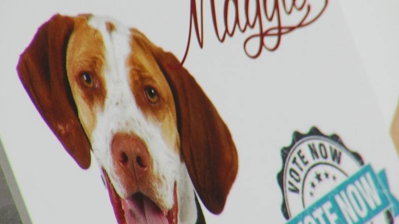 Promo Image: Yappy Hour Held At Bowers Harbor Vineyards To Support Cherryland Humane Society