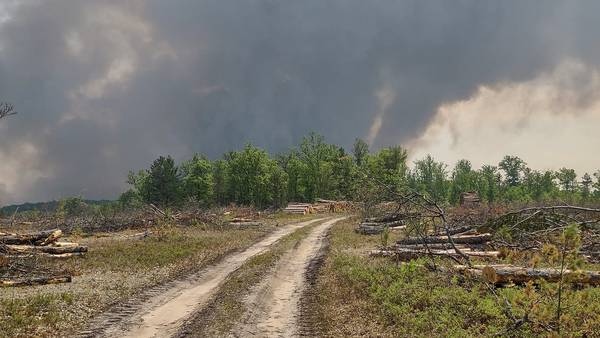 Michigan DNR: Wilderness Trail Fire 85% Contained, Campfire on Private Property Started Fire