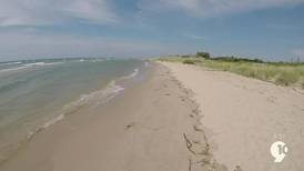 Sights and Sounds: Summer Day Flashbacks at Ludington State Park