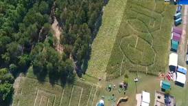 Northern Michigan From Above: Pahl’s Pumpkin Patch