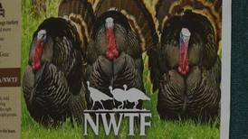 Michigan’s Spring Turkey Hunting Season Ending Soon