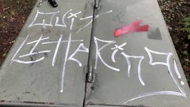 Petoskey Department of Public Safety investigates vandalism across city