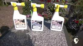 What’s Growing With Tom: How liquid fertilizer can help maintain your garden