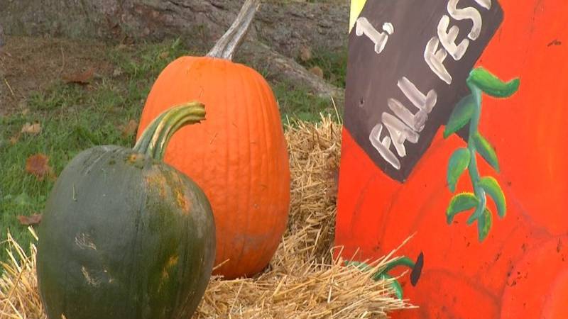 Promo Image: Manistee County Invites All to Enjoy 20th Annual Onekama Fall Festival