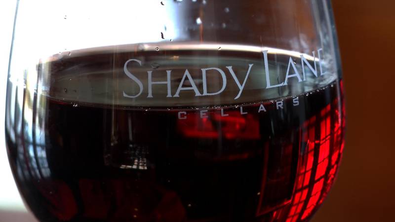 Promo Image: Brewvine: Shady Lane Cellars in Suttons Bay