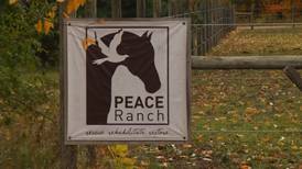 Peace Ranch Helps Veterans With PTSD