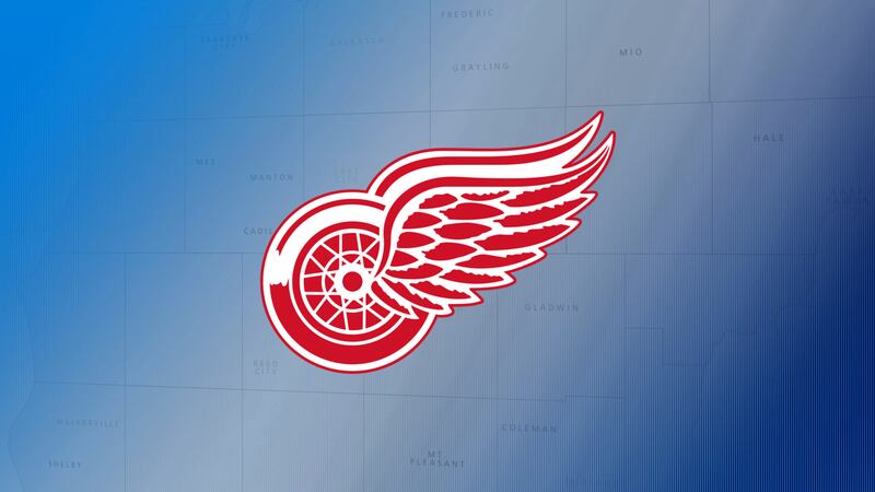 Promo Image: NHL Free Agency: Tracking the Red Wings Offseason