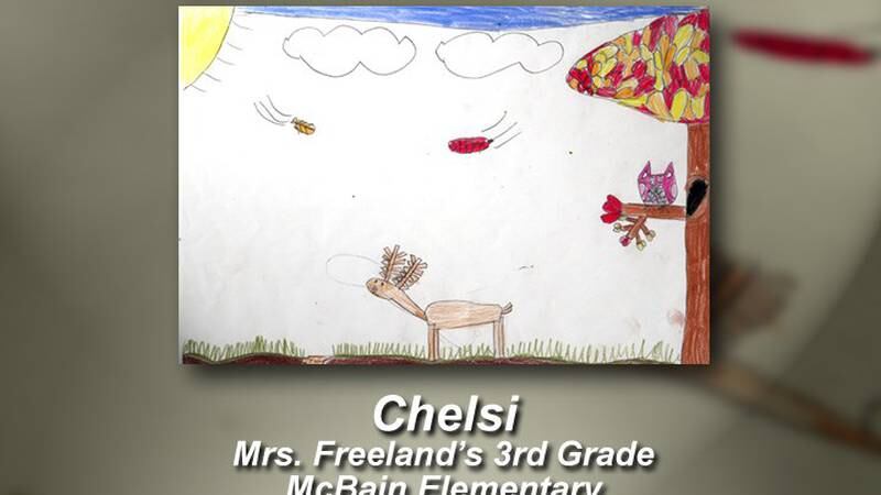 Promo Image: Chelsi From McBain Elementary