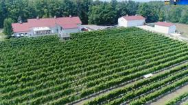 BrewVine: Brys Estate Vineyard and Winery on Old Mission Peninsula