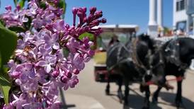 Mackinac Island’s Lilac Festival in the running for top 10 Best Flower Festival by USA Today