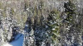 Northern Michigan From Above: Antrim Creek Natural Area