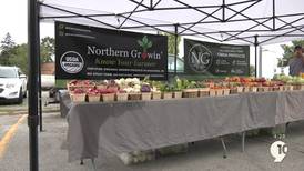 Eat Local: Farmers market finds
