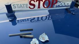 Police dog sniffs out drugs during traffic stop of Manistee woman, state police say  