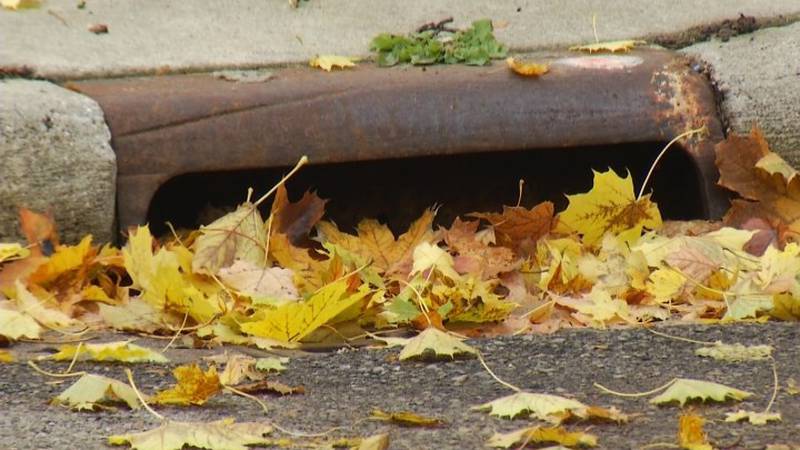 Promo Image: City of Cadillac Encourages Bagging Leaves During Fall Clean-Up