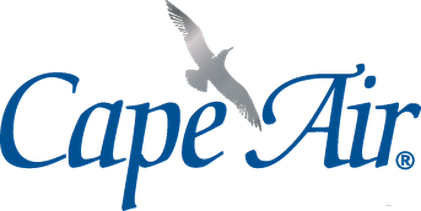 Cape Air Silvergull Logo