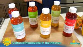 Cultured Kombucha Is Northern Michigan’s First Kombucha Microbrewery