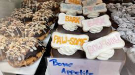 Donuts for Doggies donation drive at Third Coast Bakery in Traverse City