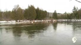 Sights and Sounds: Flowing Manistee River