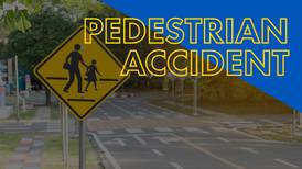 Pedestrian and his dog killed in Mt. Pleasant crash 