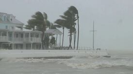 Hurricane Idalia makes landfall in Florida as Category 3 storm 