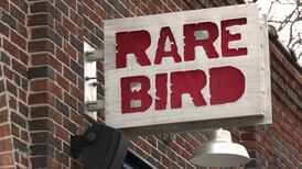 Brewvine: Bringing Out the Dark Side at Rare Bird Brewpub in Traverse City