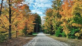 County Road Association of Michigan releases fall colors guide
