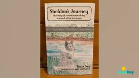 Traverse City Author Shares the Tale of Sheldon the Dog