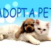 Adopt A Pet Tuesday: Buffy, Smokey & Braven